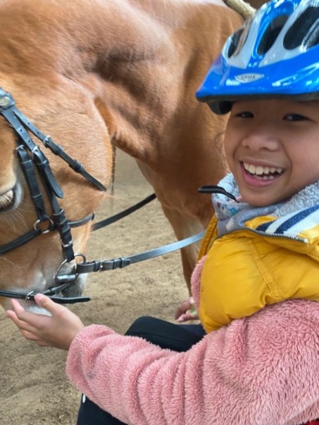 Foto: Ein Mädchen sitzt im Rollstuhl neben dem Kopf des Pferdes. Sie streckt Ihre Hand zur Nase des Pferdes aus, schaut in die Kamera und lacht.